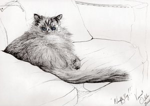 ragazzo cattivo!, 2006 da Vincent Alexander Booth